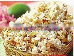 portable popcorn making machine