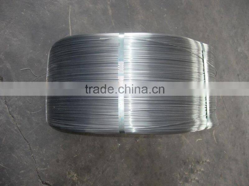 galvanized patented steel wire