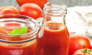 Semi-Automatic Tomato Sauce Filling Machine for Small Business