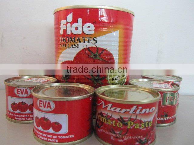 Pasta de tomate en lata/canned tomato paste