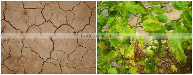 Huminrich Shenyang SH9002s-1 100PCT 55HA+65OM Soluble Super Grade Humic Acid