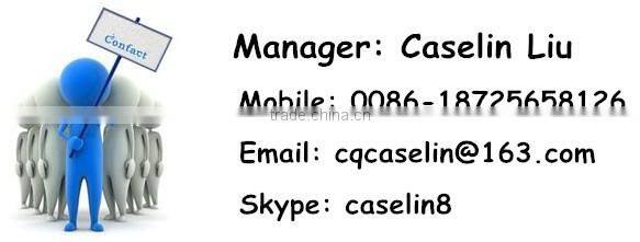 Gasoline Engine Electric Start Model Motorcycles