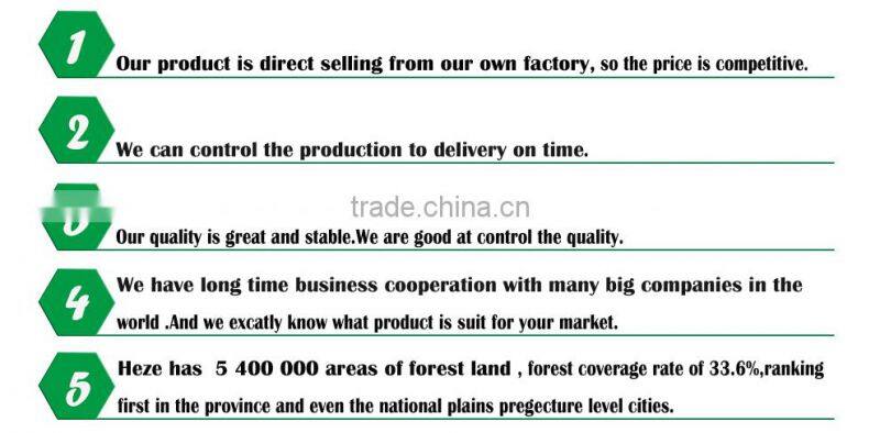 15mm 4*8 poplar film faced plywood for construction