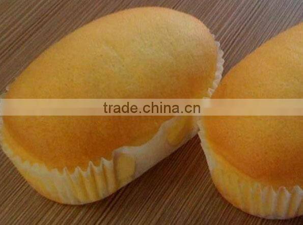 Dough Fermenting Proofer & Bread Machine