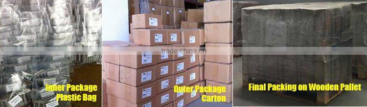 Stainless Steel Sus 304 DIN1480 Construction Straining Screw