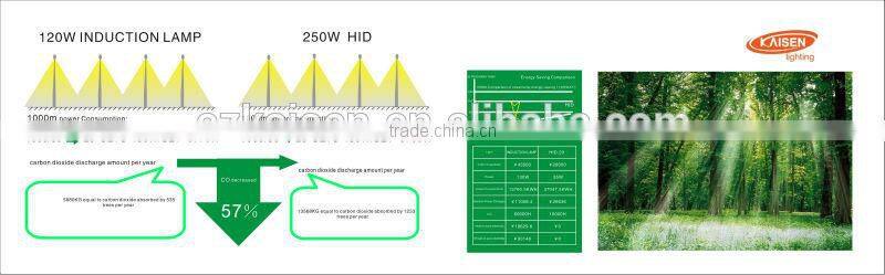 40w energy saving tube magnetic fancy price induction lamp down lighting