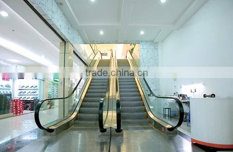 Outdoor residential electric escalator
