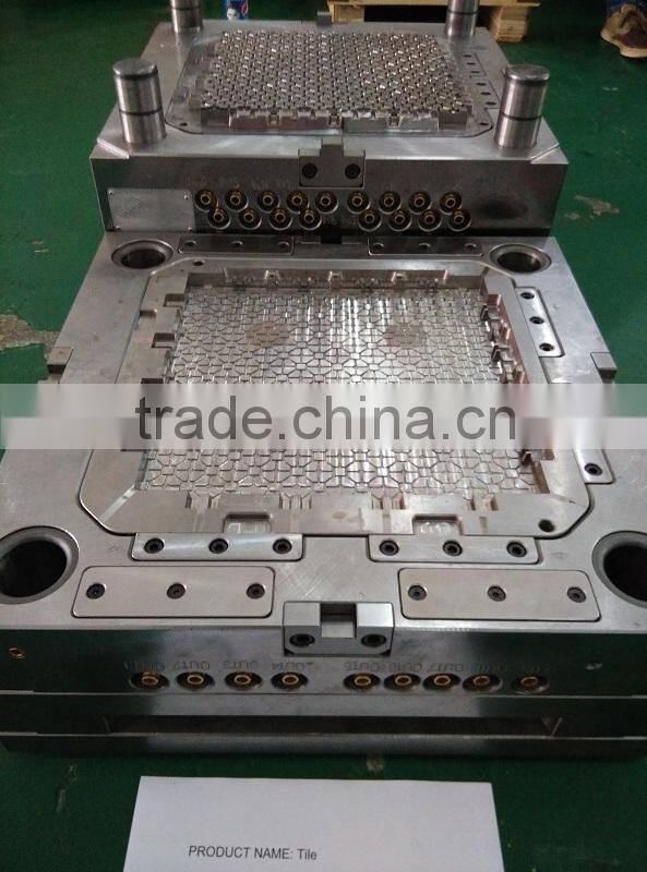 Plastic injection mold and moulding services