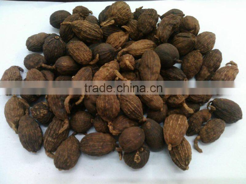 China with stem black Cardamom