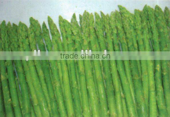 iqf green asparagus