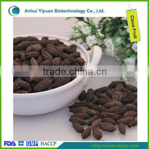 Spice Bulk Raw Clove Fruit