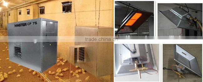 high quality low price industrial steel structure chicken coop