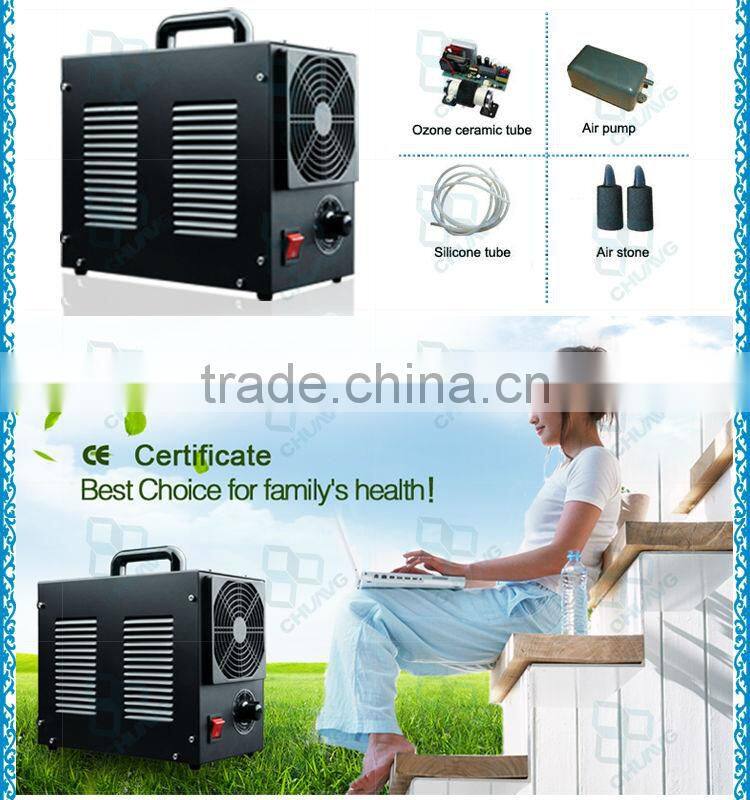 High efficiency 3G portable ozone air purifier for car/summer houses