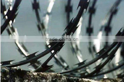 Security Wall Spikes