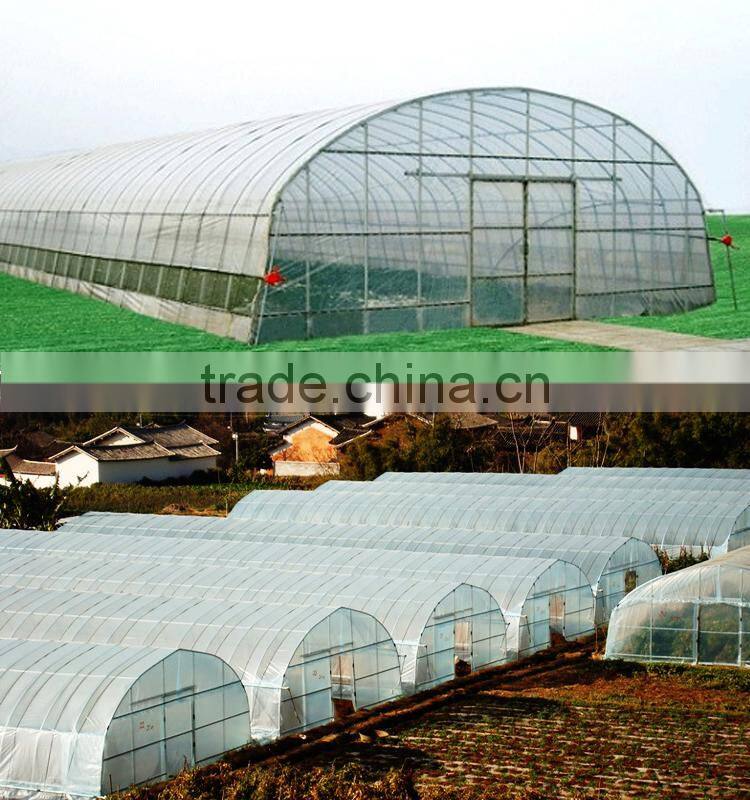 Simple frame Single-Span Greenhouses agriculture agriculture related products