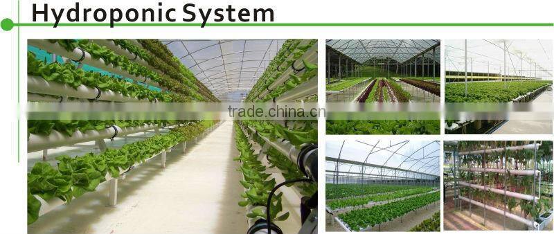 Hydroponic glass greenhouse