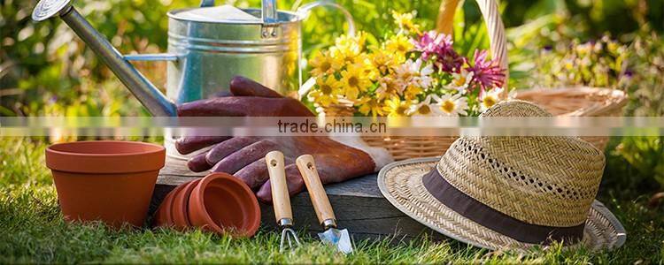 High Quality 3L~14L Plastic Sprinkled Kettle Watering Can(2024)