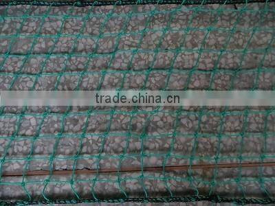 PE Chicken net.Aviary Netting