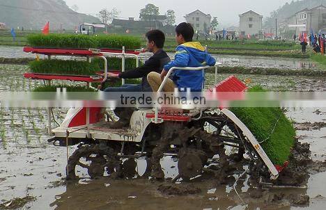 riding 6 rows rice transplanter
