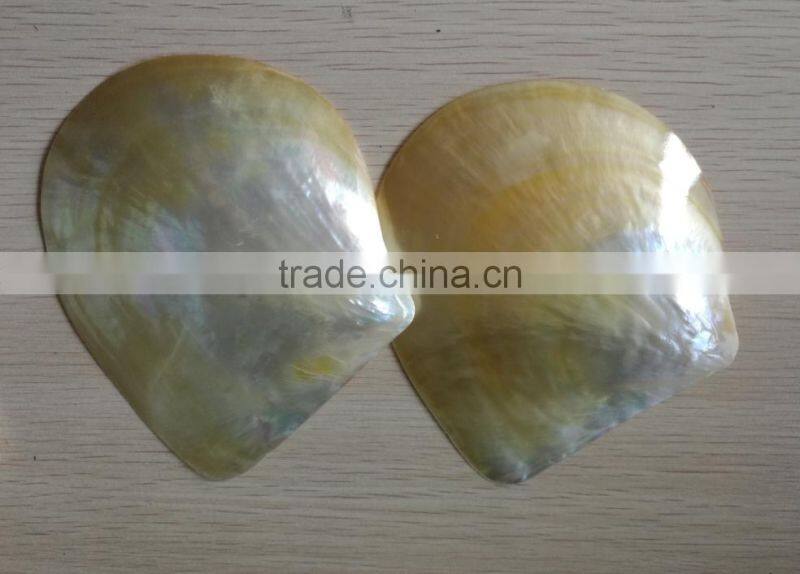 Wholesale polished white yellow mother of pearl raw shells