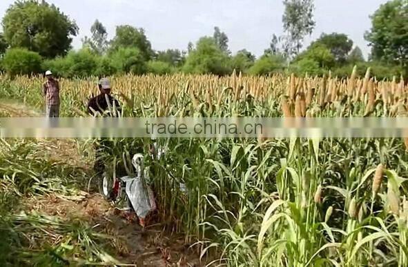 Small rice reaper & binder machine