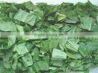 TW-805 Nice Quality Vegetable Cutting Machine (video)
