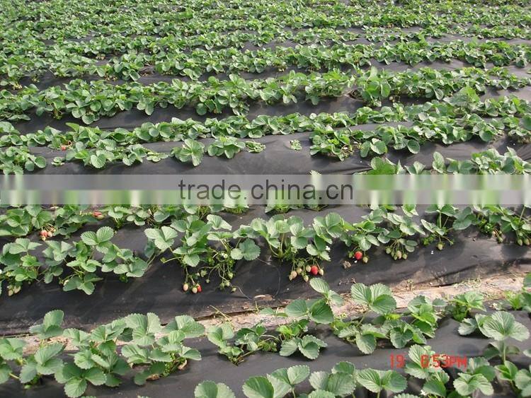 Alibaba Hot Products Non-Woven Agriculture Black Plastic Mulch Film