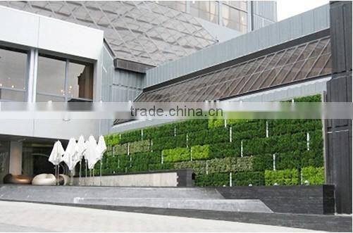 Green wall flower pots