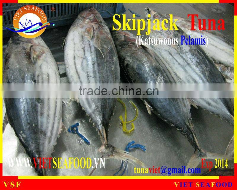 W/R FROZEN SKIPJACK TUNA