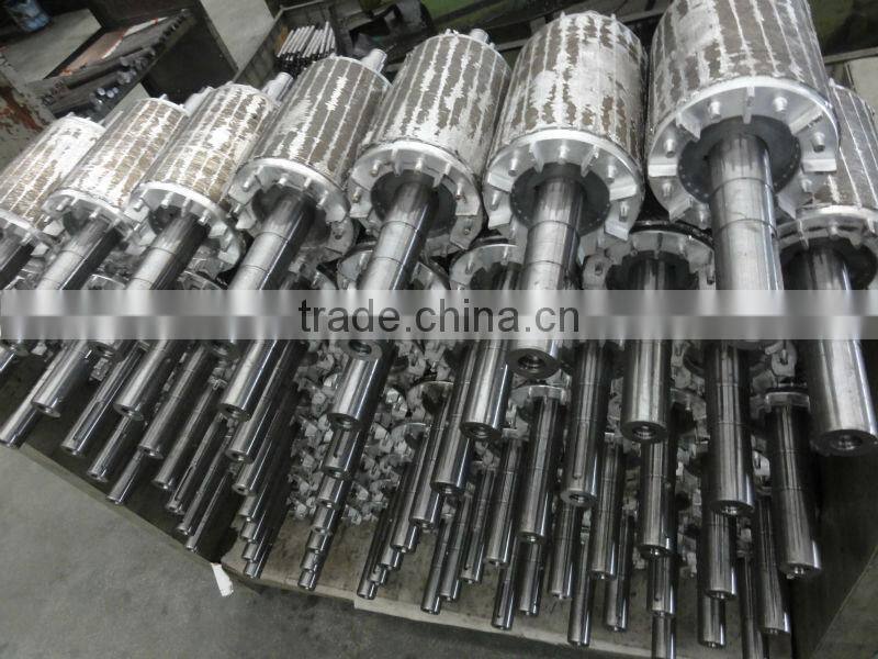 Electric Motor in SKD