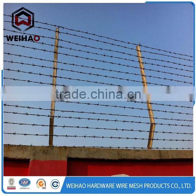first-rated hot-dipped galvanized barbed wire