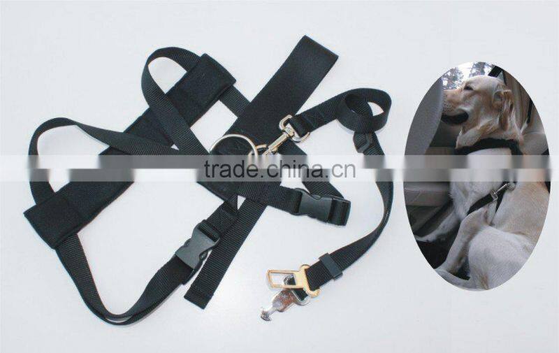 dog collar pet products