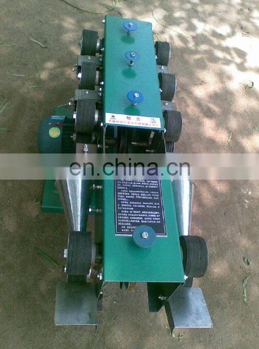 Electric willow peeling machine/Wicker peeler machine