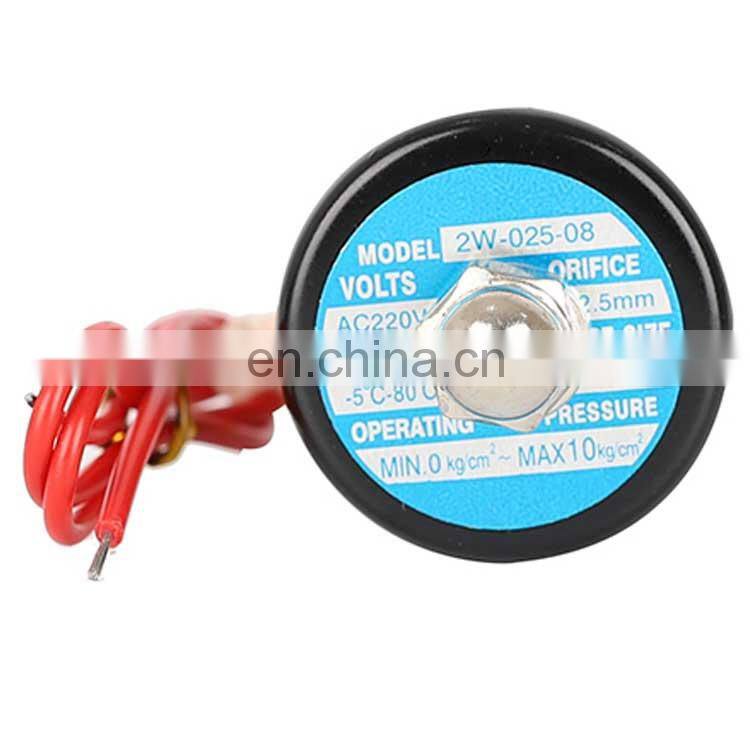 2W200-20 DC12/24V Normally Closed Type Direct Acting AC36/110/220/380V Electric Brass Solenoid Valve Price For Water