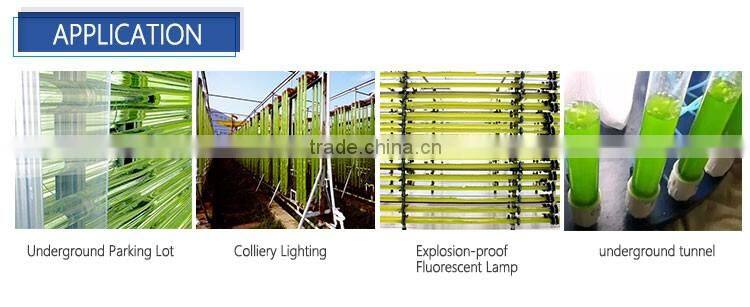 large diameter clear for algae living glass tube