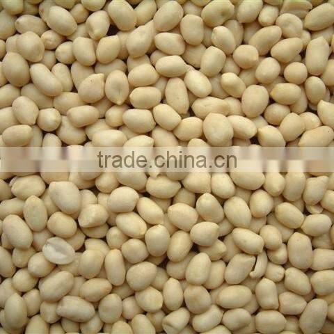 High quality blanched peanuts 61/71 2014 hot sale from shandong