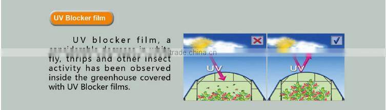 high quality factory produced strawberry greenhouse film/plastic thin film/blow molding film