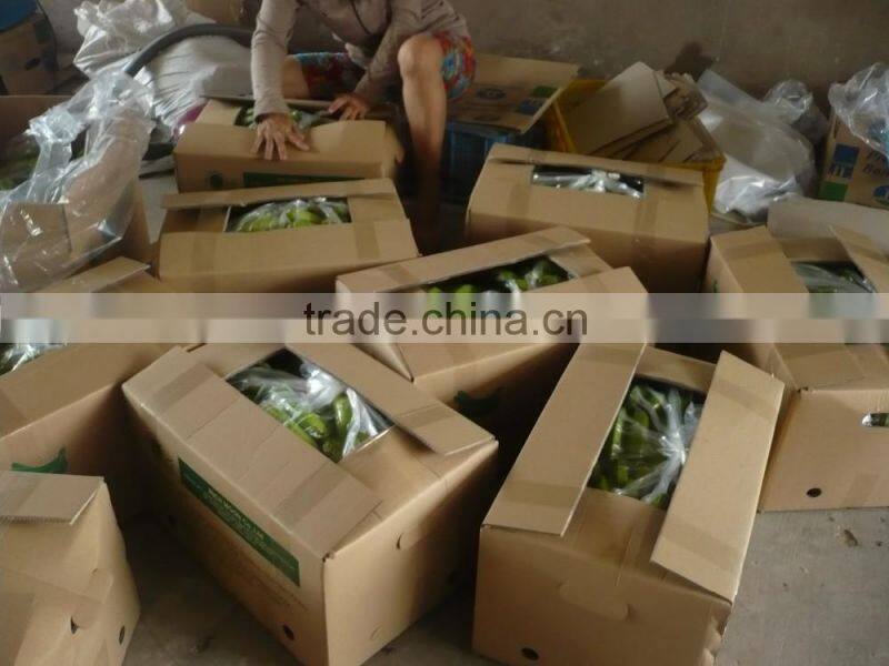 VIETNAM FRESH CAVENDISH BANANA