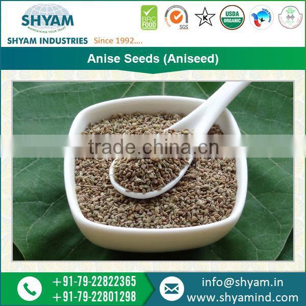 Anise Seeds (Ani Seeds) Gained From Best Harvest Period