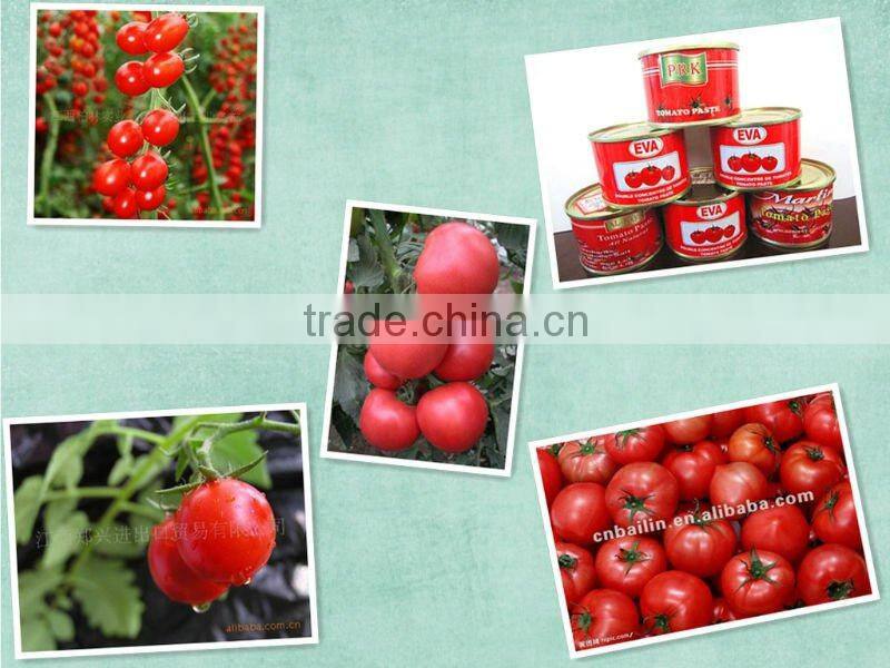 Free to your own brand name! 850g canned tomato ketchup/tomato puree with cheap price and high quality