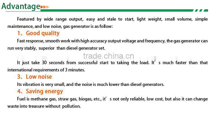 CE Approve small power biogas generator 50kw