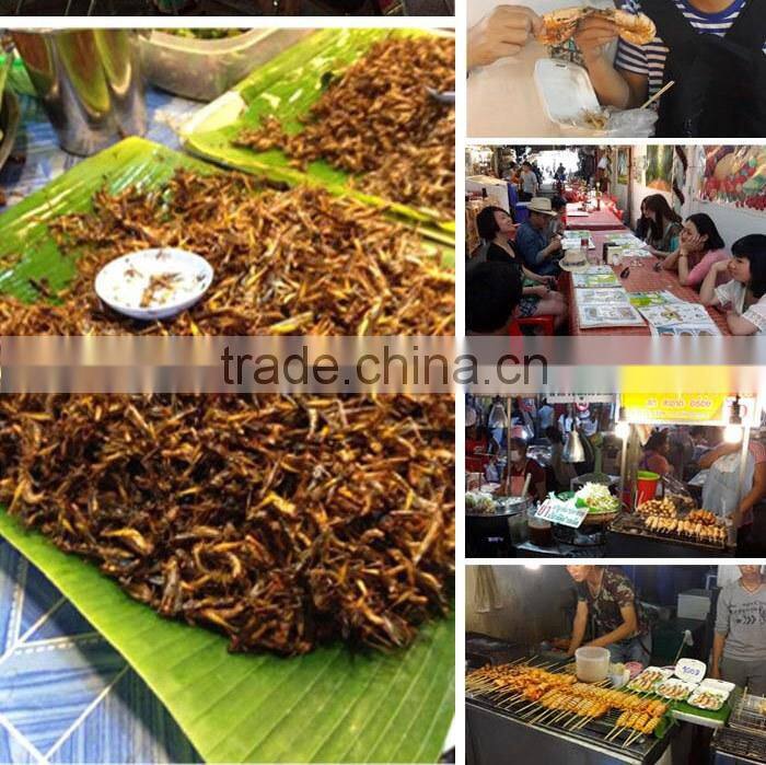 SHINELONG IN THAILAND