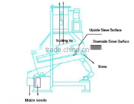 cleaning buckwheat plant
