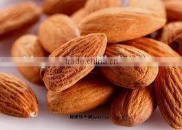 roasted apricot kernels raw flavor with good quality for sale