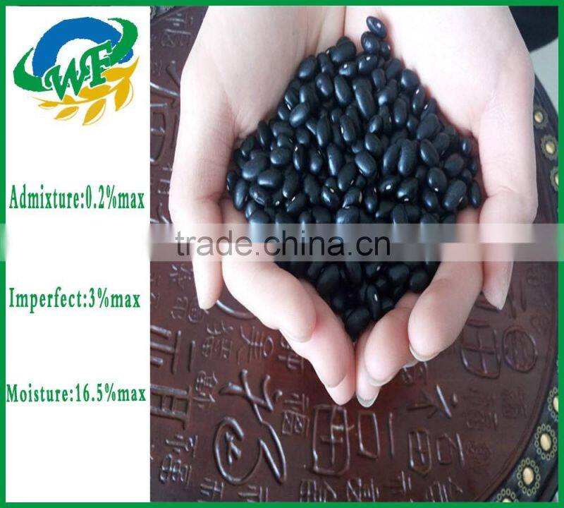 2016 China Black Kidney Beans
