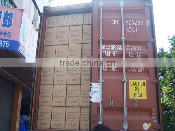 Elegant solar AC charging fan 16inch standing battery charger fan