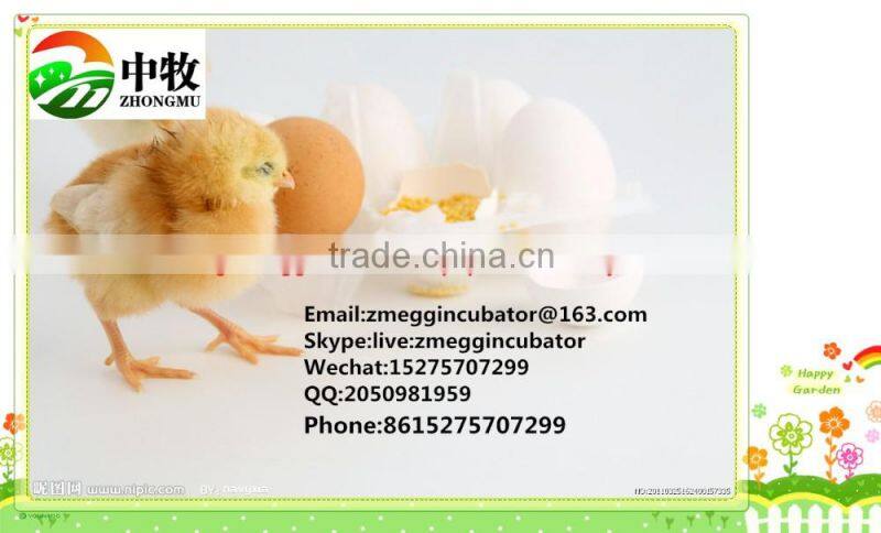 ZM-352 egg incubator/352 chicken egg incubator/ Manufacture price