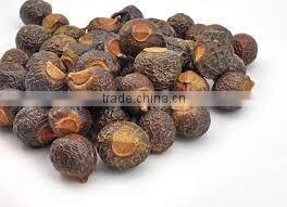 Soapnut Herbal product Exporter In Indian//Second Grade