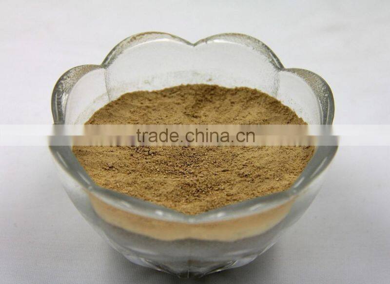 Pure natural Shitake Mushroom Powder / Shitake Mushroom Extract / Polysaccharides