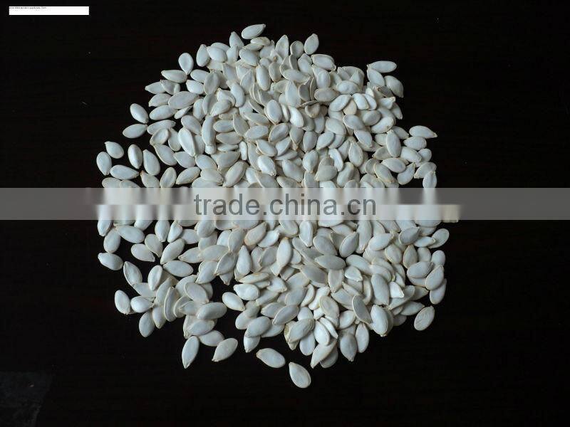 Snow White Pumpkin Seeds in shell